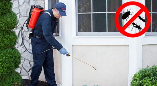 Bayrampaşa Tahtakurusu İlaçlama böcek ilaçlama ve haşere kontrolü — ilaclama-tr.com